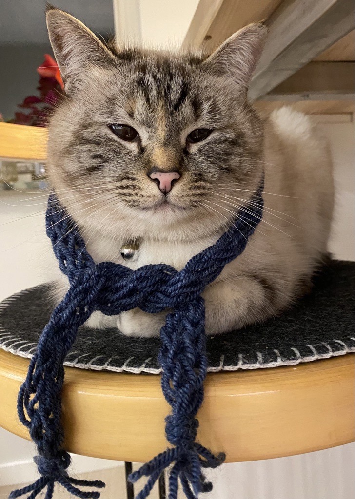 Katten Kitty.png